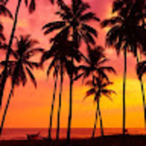 Meet your Posher, Phillip